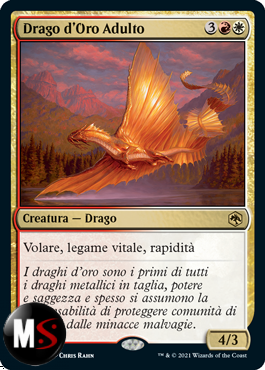 DRAGO D'ORO ADULTO