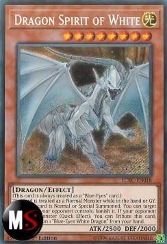 DRAGO SPIRITO DEL BIANCO