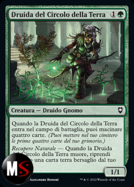 DRUIDA DEL CIRCOLO DELLA TERRA