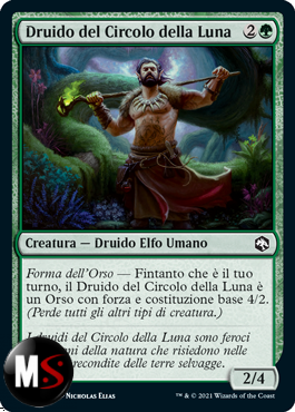 DRUIDO DEL CIRCOLO DELLA LUNA