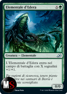 ELEMENTALE D'EDERA