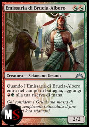 EMISSARIA DI BRUCIA-ALBERO