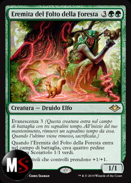 EREMITA DEL FOLTO DELLA FORESTA