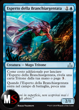 ESPERTO DELLA BRANCHIARGENTATA - FOIL