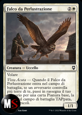 FALCO DA PERLUSTRAZIONE