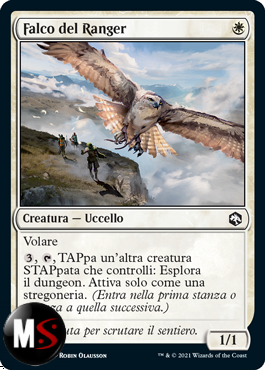 FALCO DEL RANGER