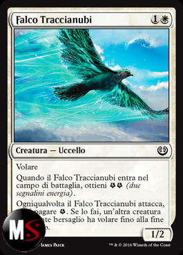 FALCO TRACCIANUBI