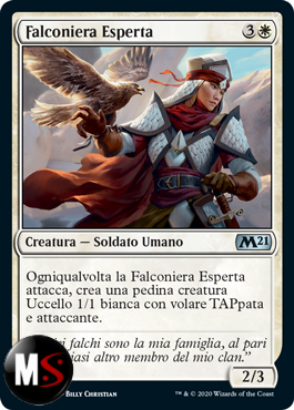 FALCONIERA ESPERTA