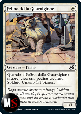 FELINO DELLA GUARNIGIONE