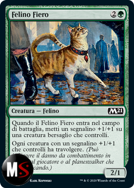 FELINO FIERO