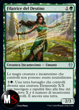 FILATRICE DEL DESTINO