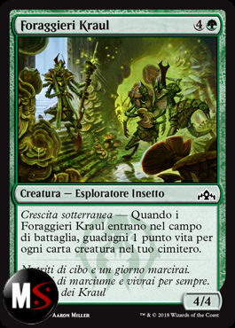 FORAGGIERI KRAUL