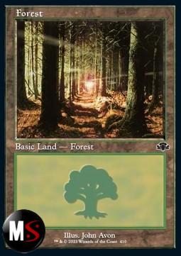 FORESTA (V.1)