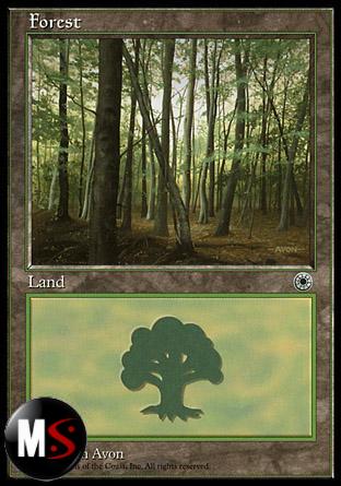 FOREST (VERSION 2)