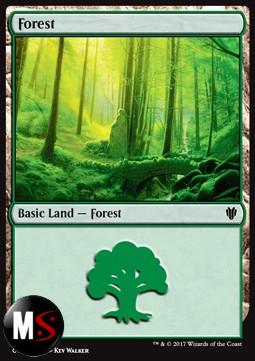 FORESTA (VERSIONE 3)