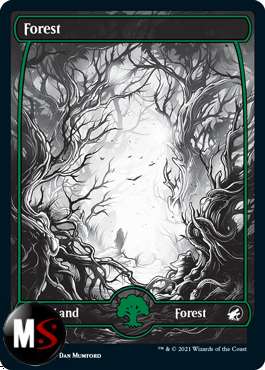 FORESTA V. 2 - FOIL