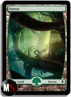 FORESTA 1 (FULL ART)