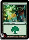 FORESTA 3A (NON FULL ART)