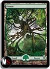 FORESTA 4 (FULL ART)