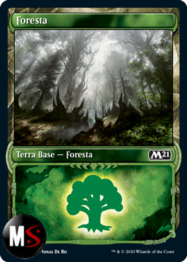 FORESTA SHOWCASE ART