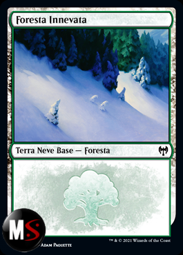 FORESTA INNEVATA V1