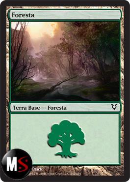 FORESTA