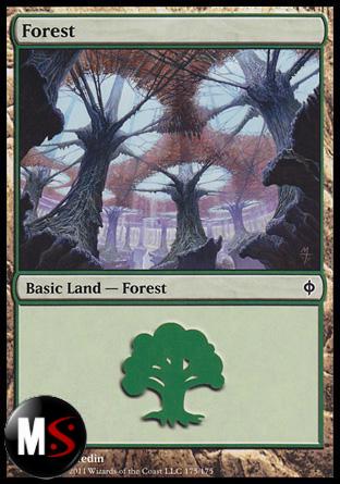 FORESTA