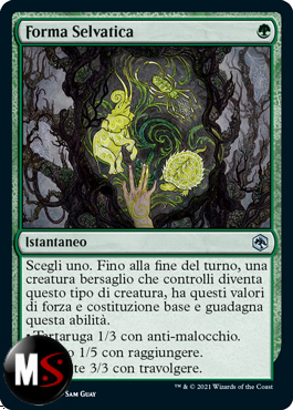 FORMA SELVATICA