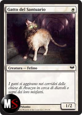 GATTO DEL SANTUARIO