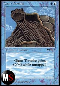 GIANT TORTOISE (1)