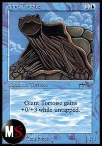 GIANT TORTOISE (2)