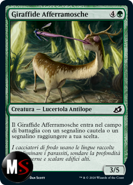 GIRAFFIDE AFFERRAMOSCHE