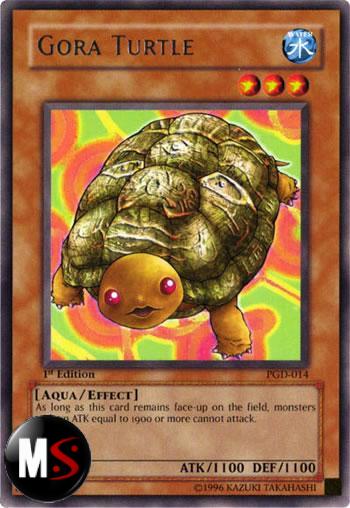 GORA TURTLE 