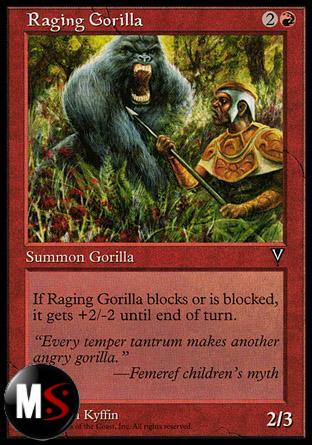 GORILLA SCATENATO