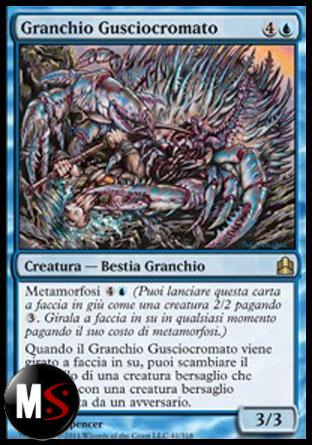 GRANCHIO GUSCIOCROMATO