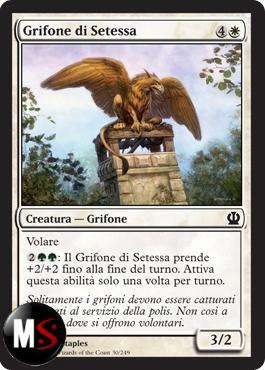 GRIFONE DI SETESSA