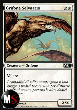 GRIFONE SELVAGGIO