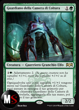 GUARDIANO DELLA CAMERA DI COLTURA - FOIL