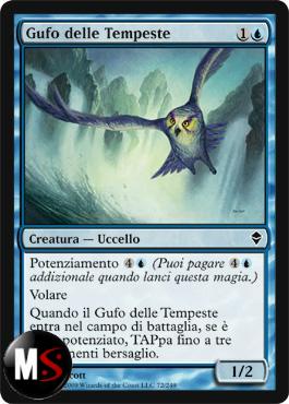 GUFO DELLE TEMPESTE