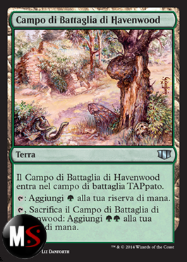 CAMPO DI BATTAGLIA DI HAVENWOOD