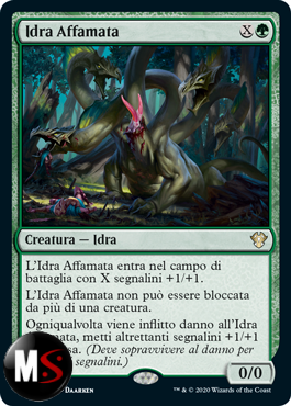 IDRA AFFAMATA
