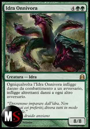 IDRA ONNIVORA