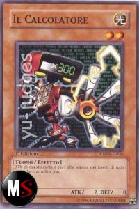 IL CALCOLATORE