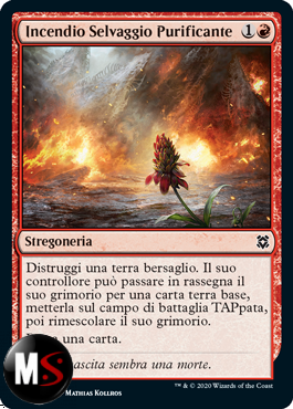 INCENDIO SELVAGGIO PURIFICANTE - FOIL