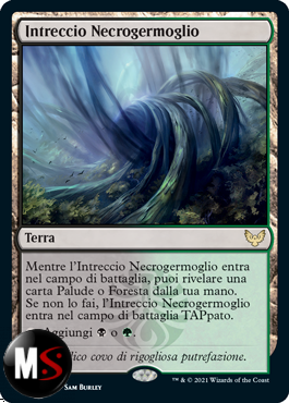 INTRECCIO NECROGERMOGLIO - FOIL