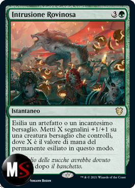 INTRUSIONE ROVINOSA