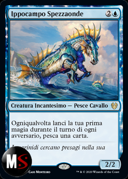 IPPOCAMPO SPEZZAONDE
