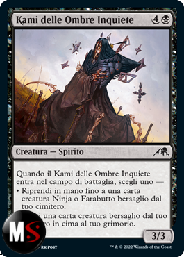 KAMI DELLE OMBRE INQUIETE