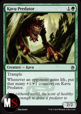 KAVU PREDATORE