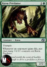 KAVU PREDATORE